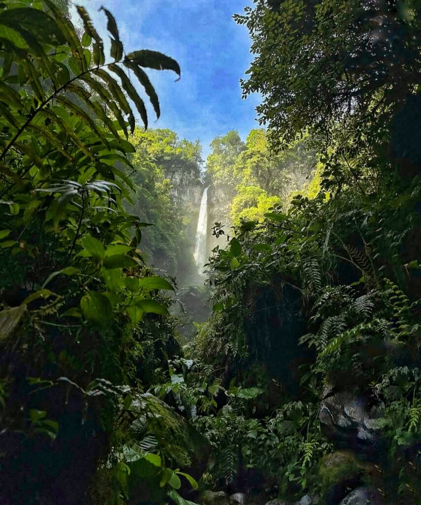 1000431423 1000431423