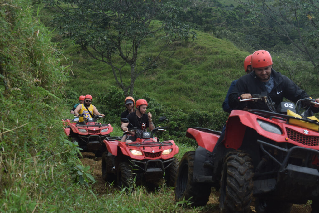 37e333c2 014d 4605 a931 1e5c282108f6 37e333c2 014d 4605 a931 1e5c282108f6